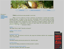 Tablet Screenshot of akwarium.vegie.pl